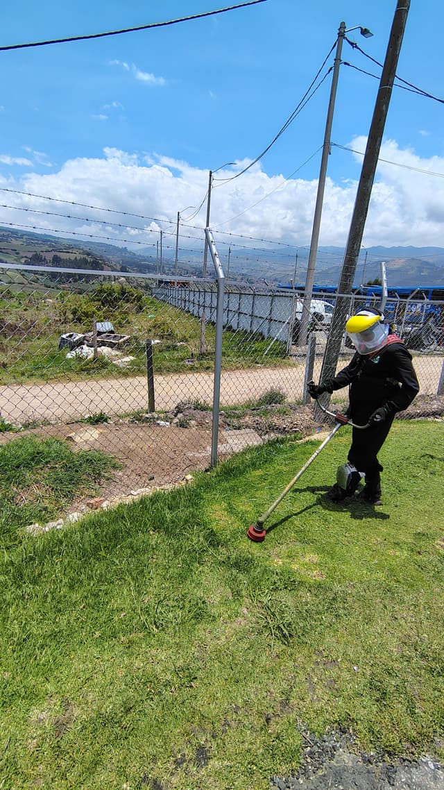 Jardinería y poda de prados en zonas verdes